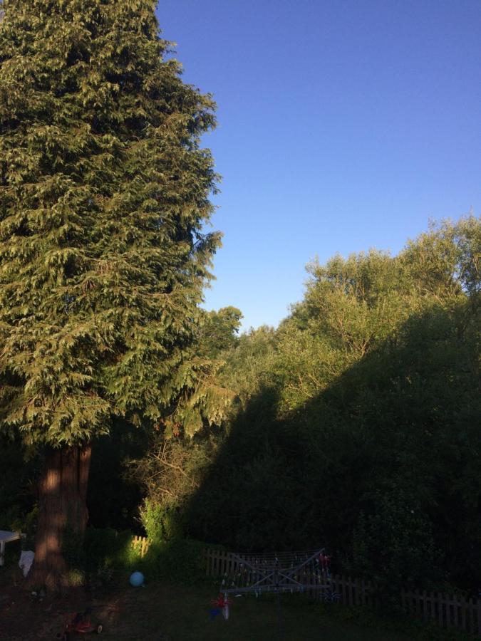 Fairlawn Bed and Breakfast Bishops Waltham Εξωτερικό φωτογραφία